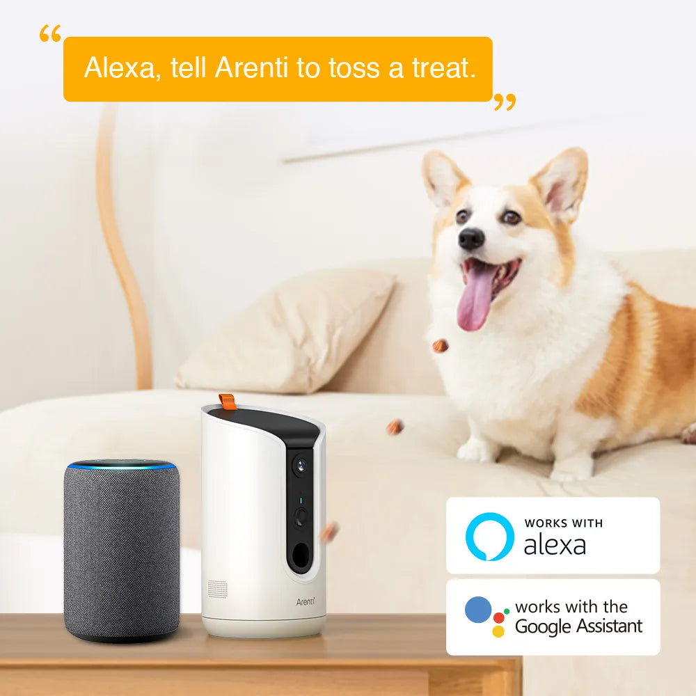 A Symphony of Connection: The Harmonious Blend of Pet and Owner