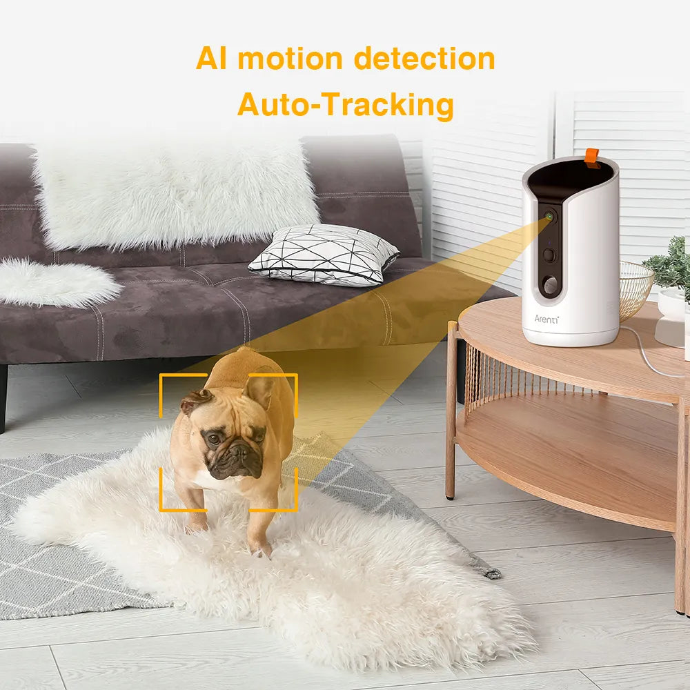 Why Arenti Dog Camera with Treat Is Every Pet Owner's Dream