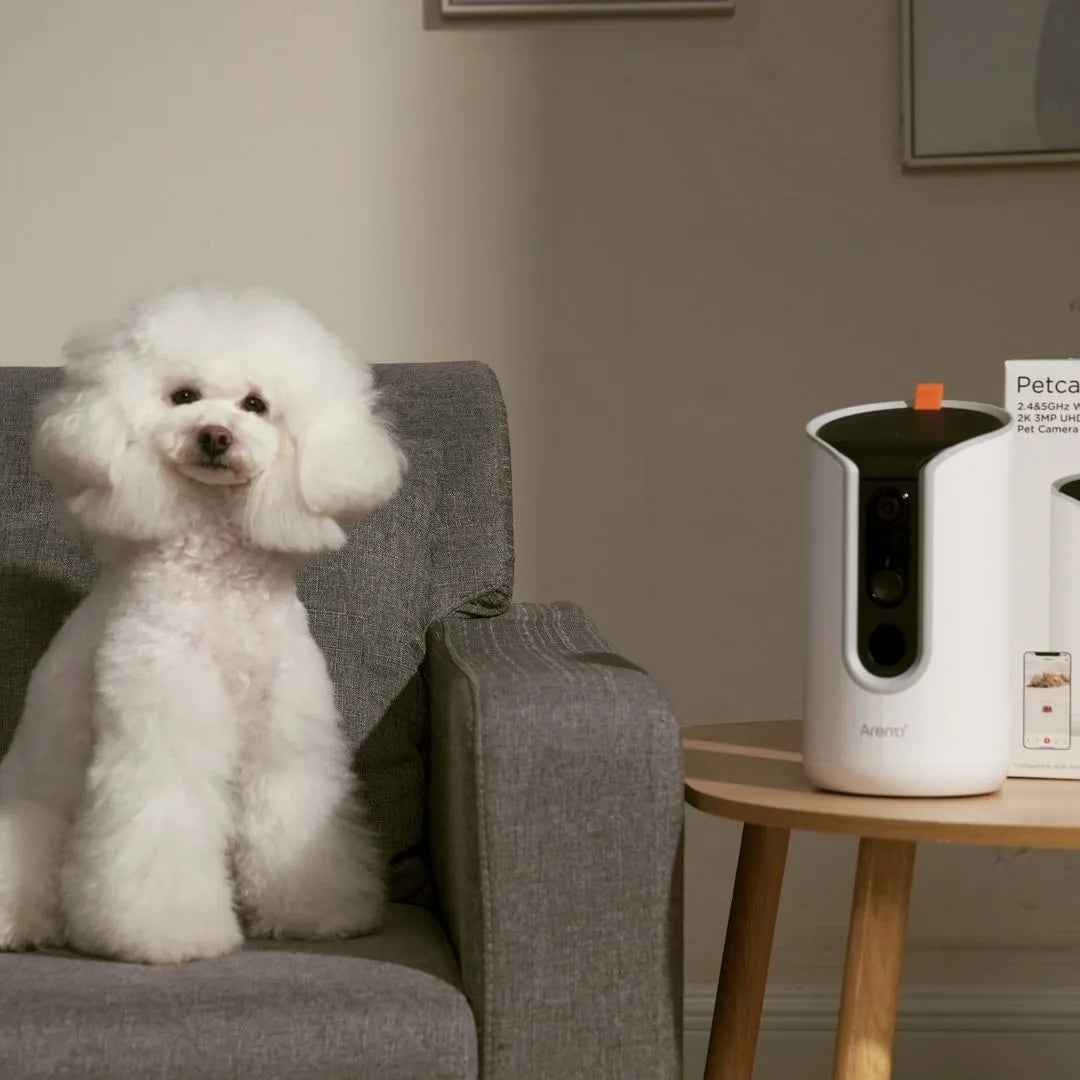FurGuard: Elevate Pet Security with Surveillance Cameras!