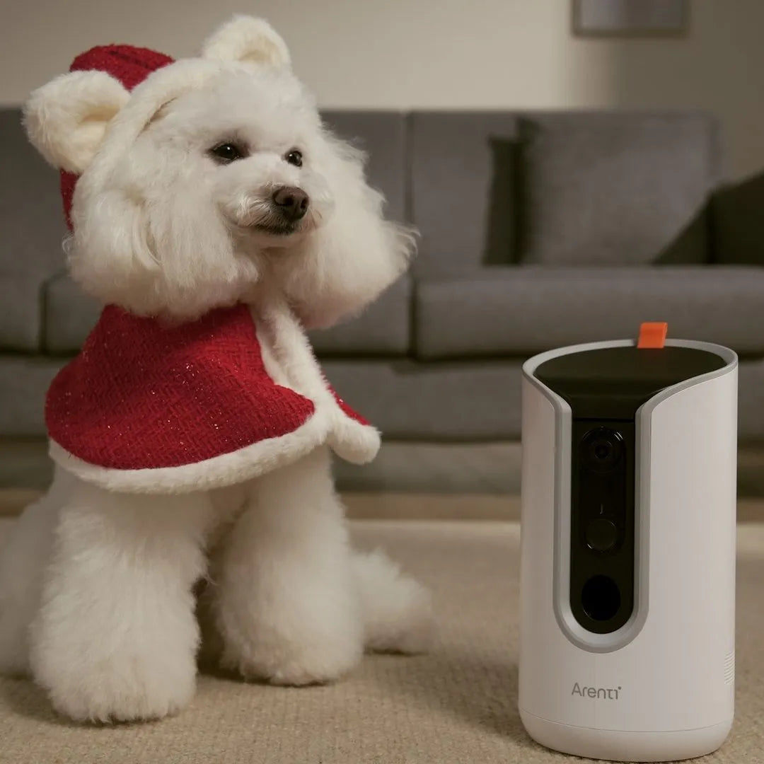 Fur-Photography Revolution: Why Every Pet Parent Needs a Treat Camera ASAP
