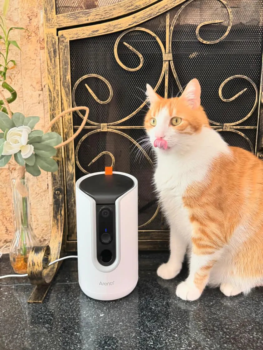 Behind the Lens: Unveiling the Secret Lives of Pets through Arenti Dog Treat Cameras