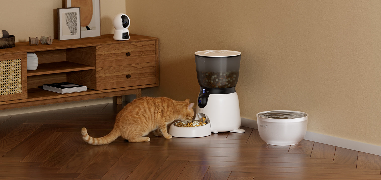 Arenti® Store: Reliable Security Cameras | Protect Your Home 24/7