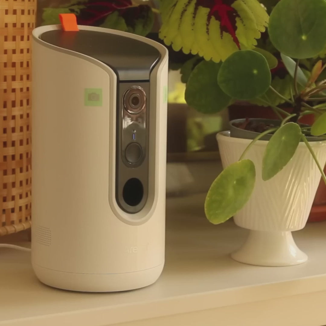 Pet 3T Camera Treat Dispenser