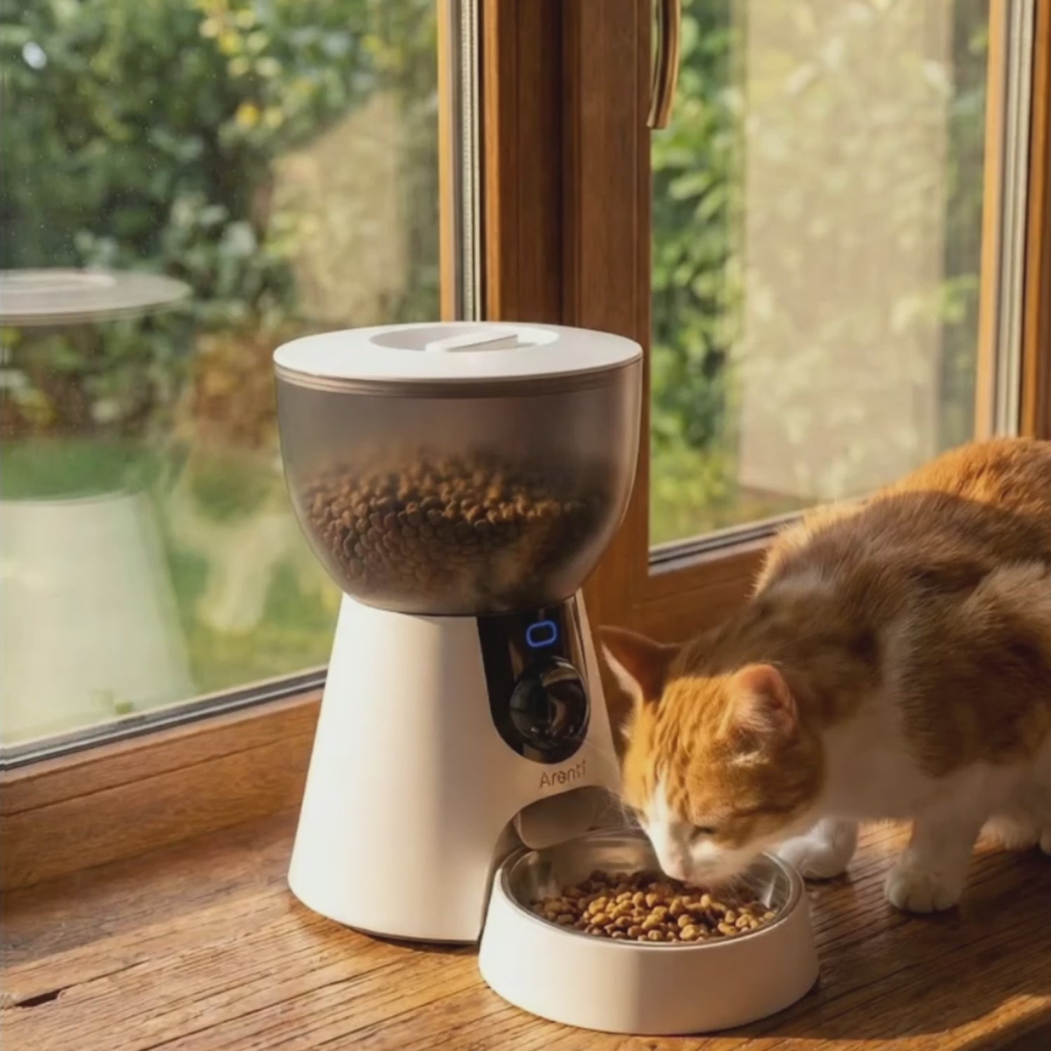 Smart Pet Feeder1 Kit
