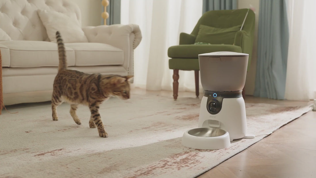 Arenti® Store: Reliable Security Cameras | Protect Your Home 24/7